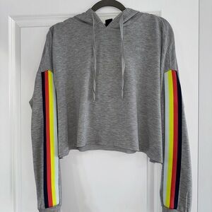 Gray Cropped Hoodie with Rainbow Stripes